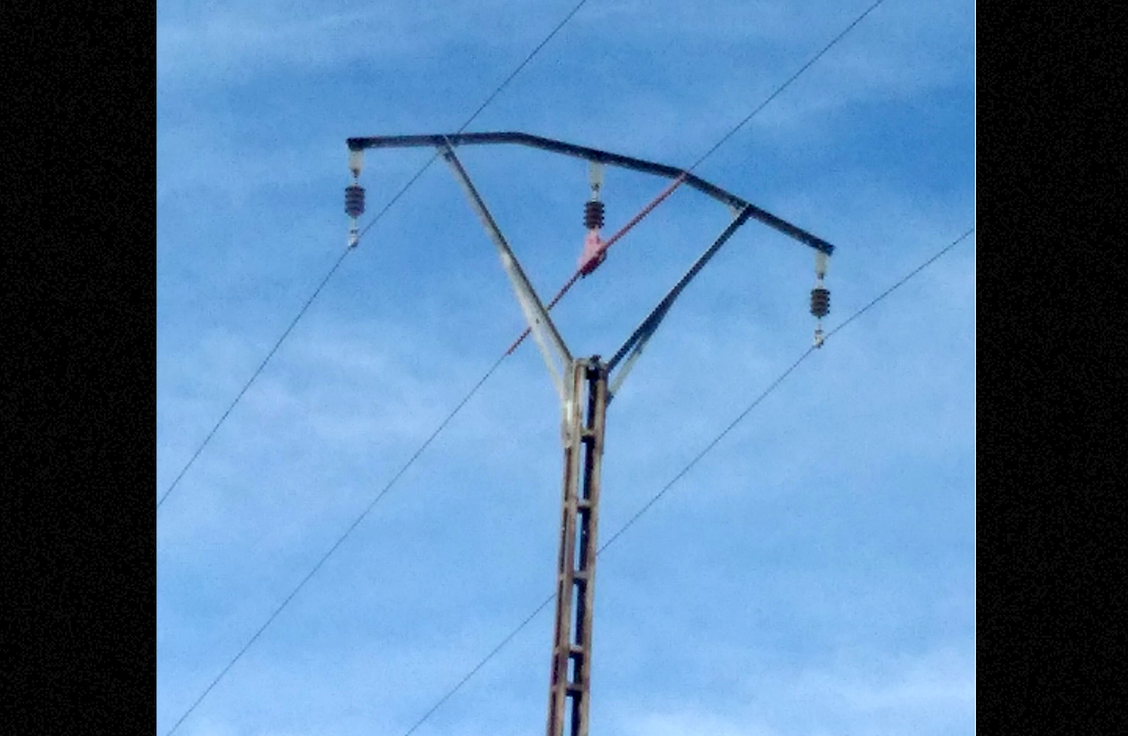 La CHS instalará medidas protectoras para las aves en las líneas eléctricas del postrasvase Tajo-Segura
